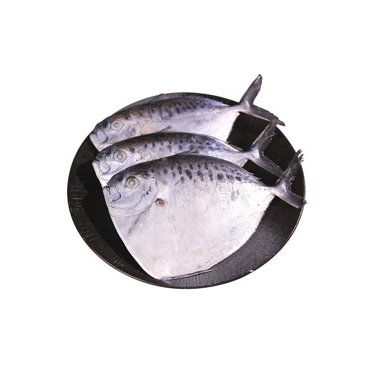 moonfish moonfish