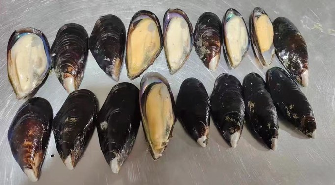 e22f1887ea764bd18de12ddf6e183cc8 e22f1887ea764bd18de12ddf6e183cc8