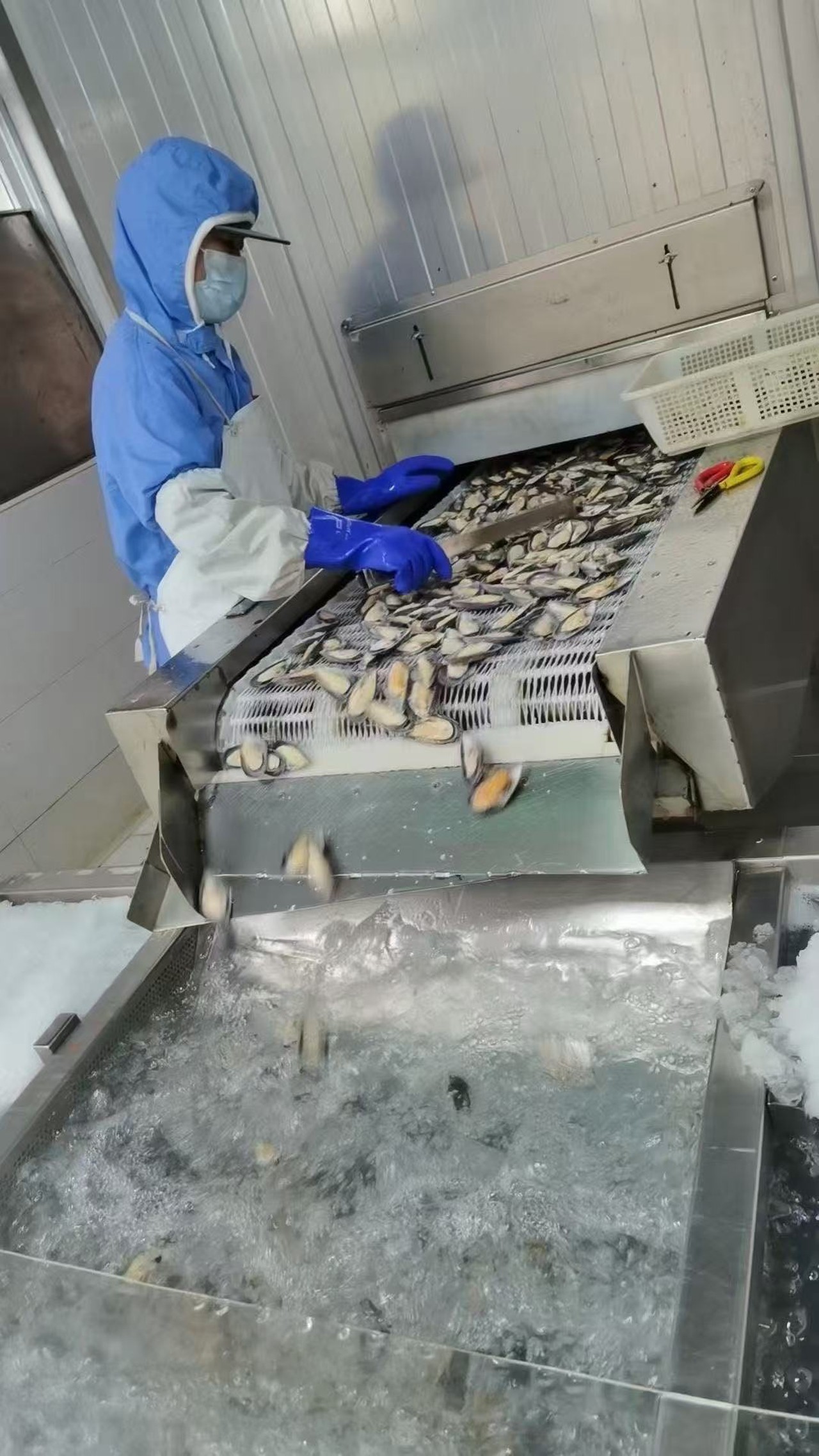 bbbd6ce0cf45e248064ce03d9e675187 bbbd6ce0cf45e248064ce03d9e675187