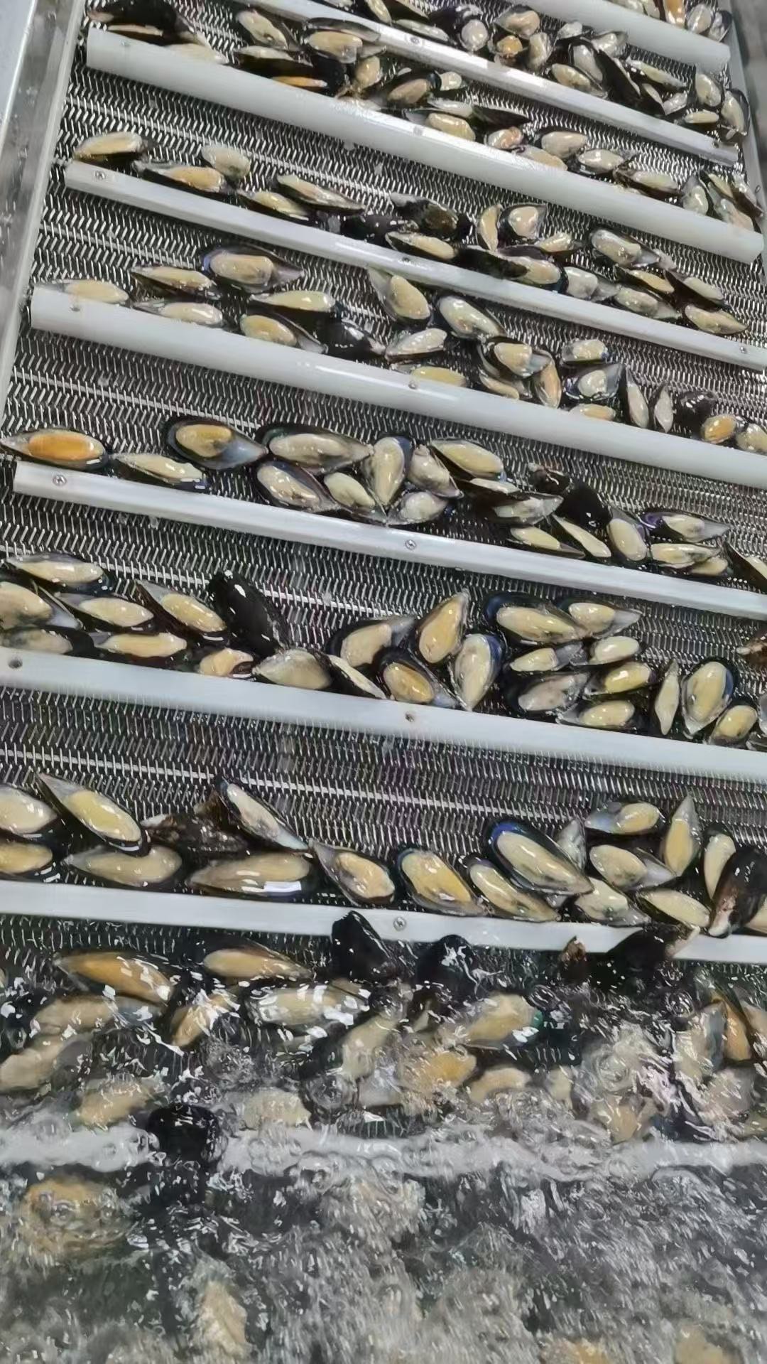 1202e2a050de30a038c6ec20b6c23976 1202e2a050de30a038c6ec20b6c23976