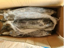 product-219-164