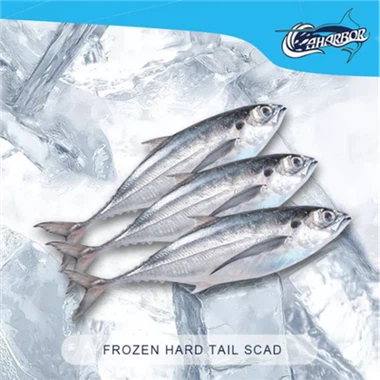 Frozen Finletted Mackerel Scad