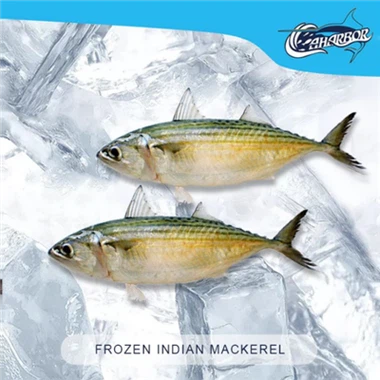 Frozen White Fish