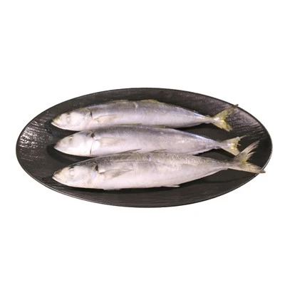 Frozen Selayang Mackerel