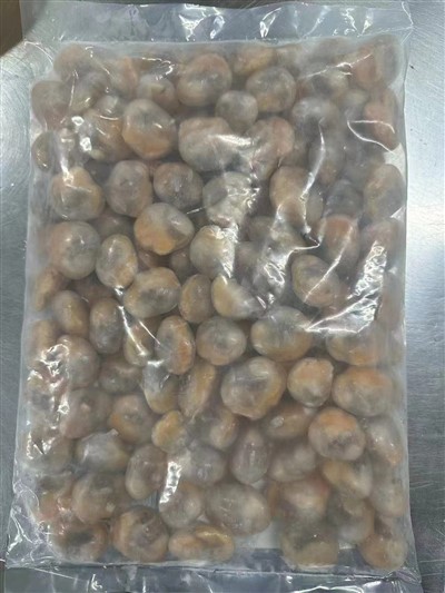 Frozen Tegillarca Granosa